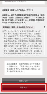 エノテカ ボルドープリムール2020