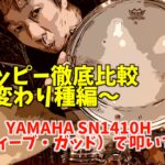 【スナッピー徹底比較】シリーズです。今回は30本〜42本の標準よりも太いスナッピーを比較します。